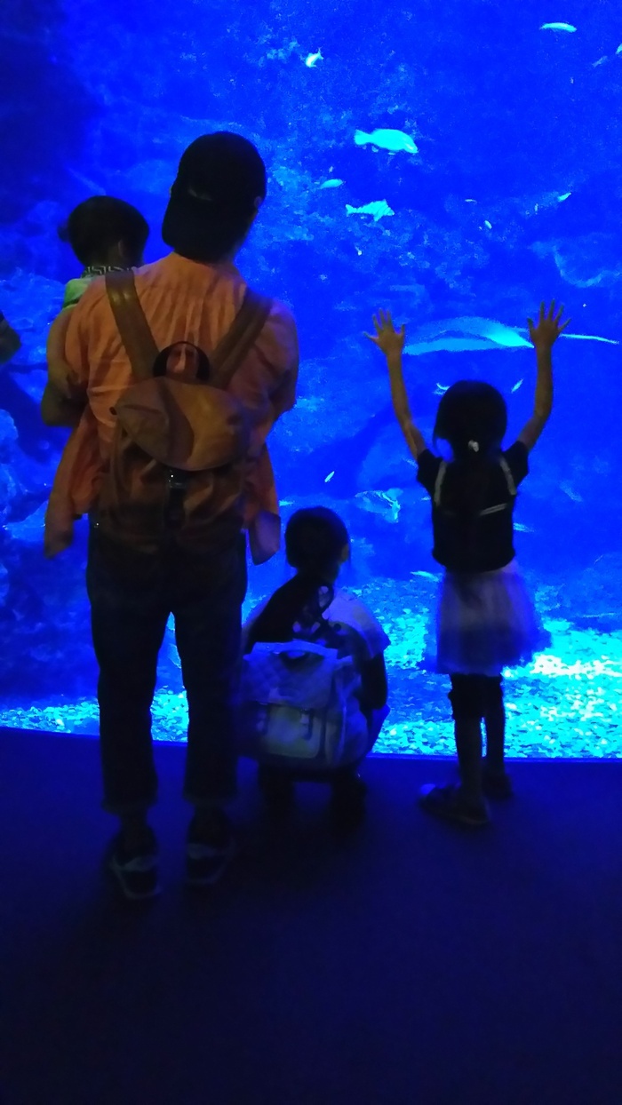 京都水族館_口コミ投稿写真20170919123607047