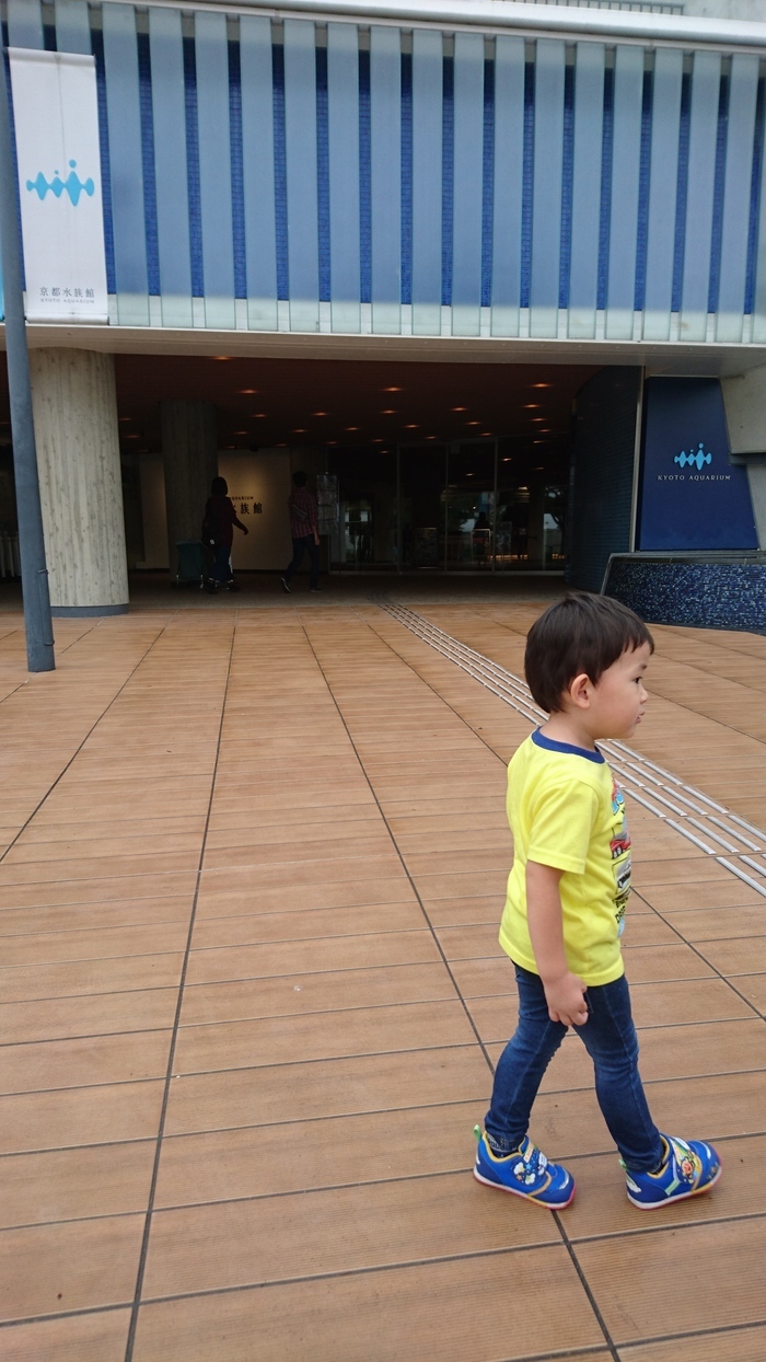 京都水族館_口コミ投稿写真20170922173816238