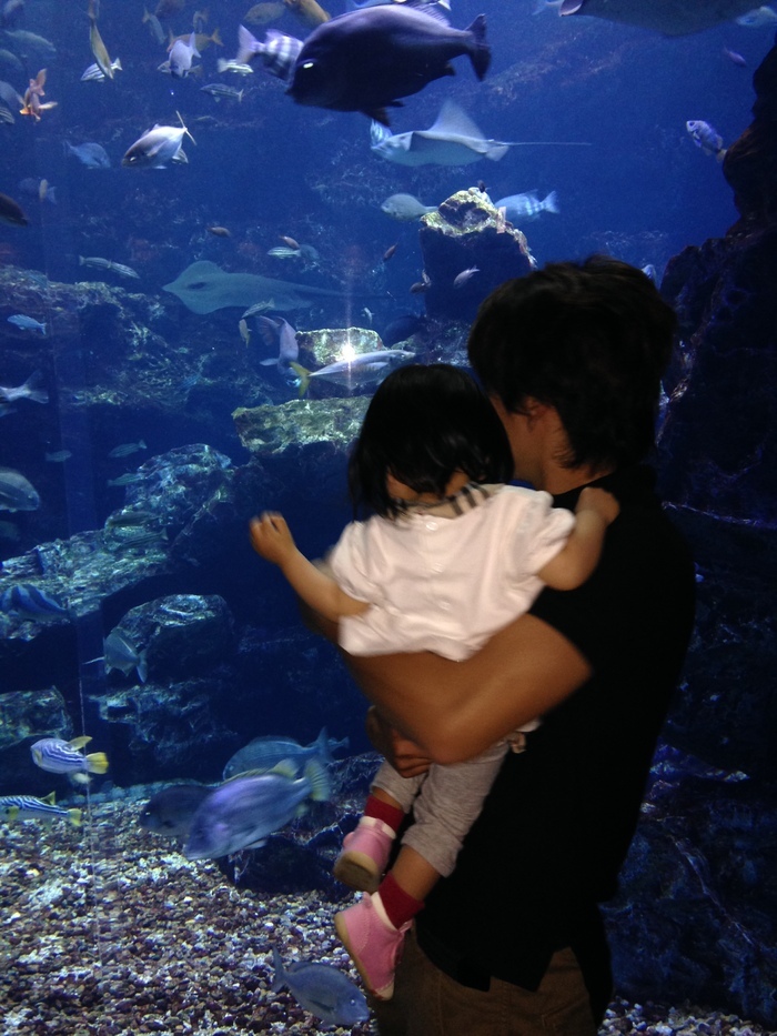 京都水族館_口コミ投稿写真20170926221743056