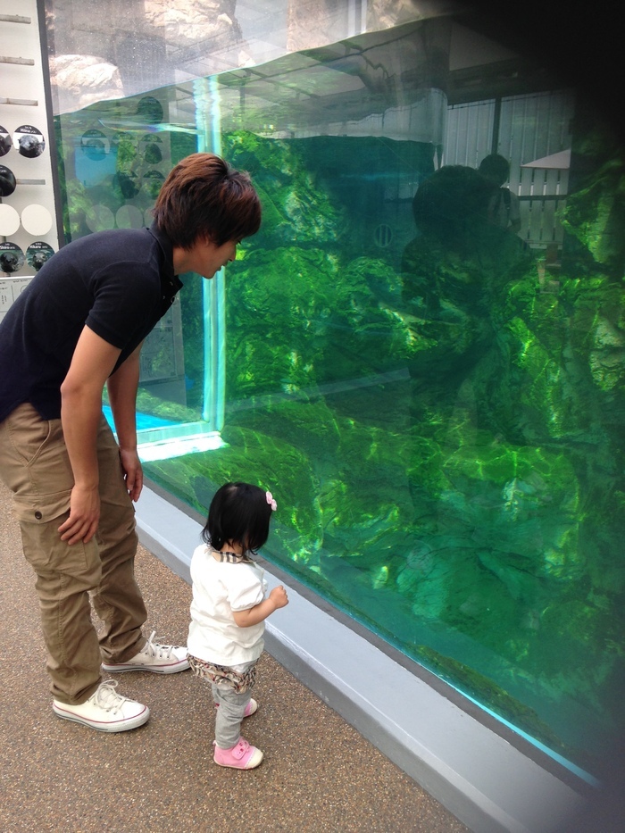京都水族館_口コミ投稿写真20170926221915904