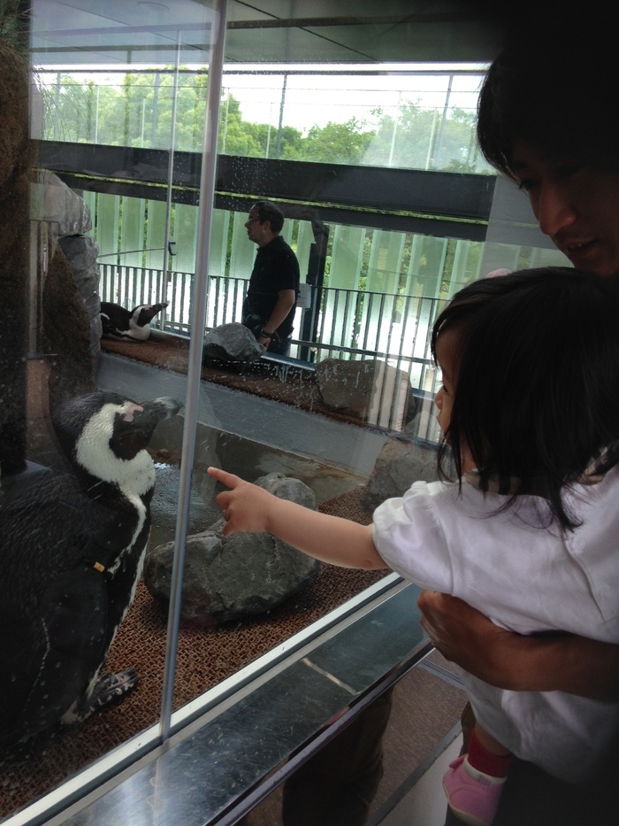 京都水族館_口コミ投稿写真20170926222024529