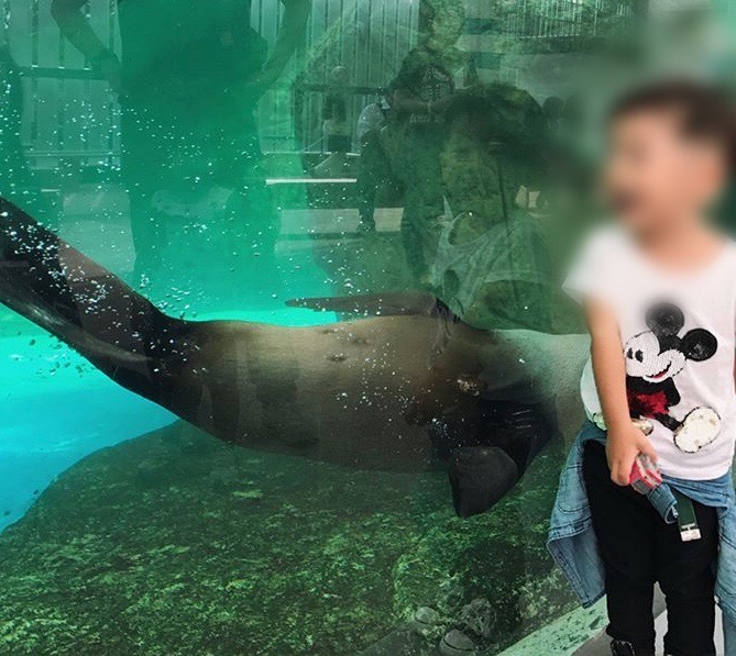 京都水族館_口コミ投稿写真20170929225110321