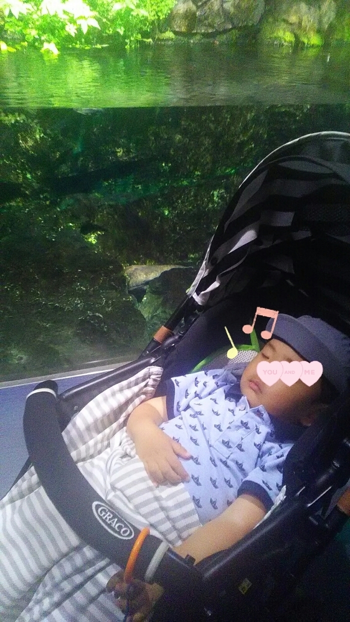 京都水族館_口コミ投稿写真20170930010505556