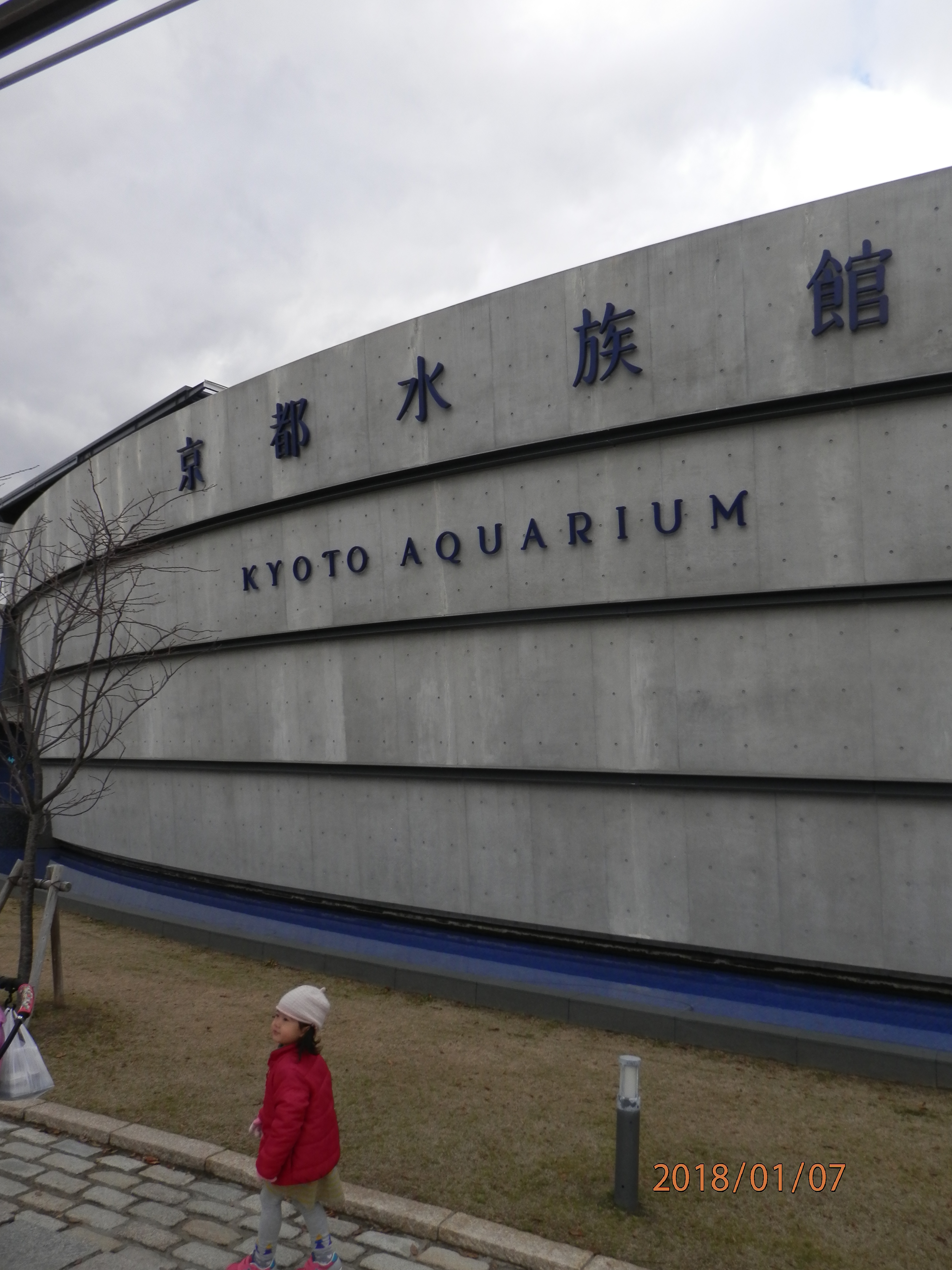京都水族館_口コミ投稿写真20180128232815