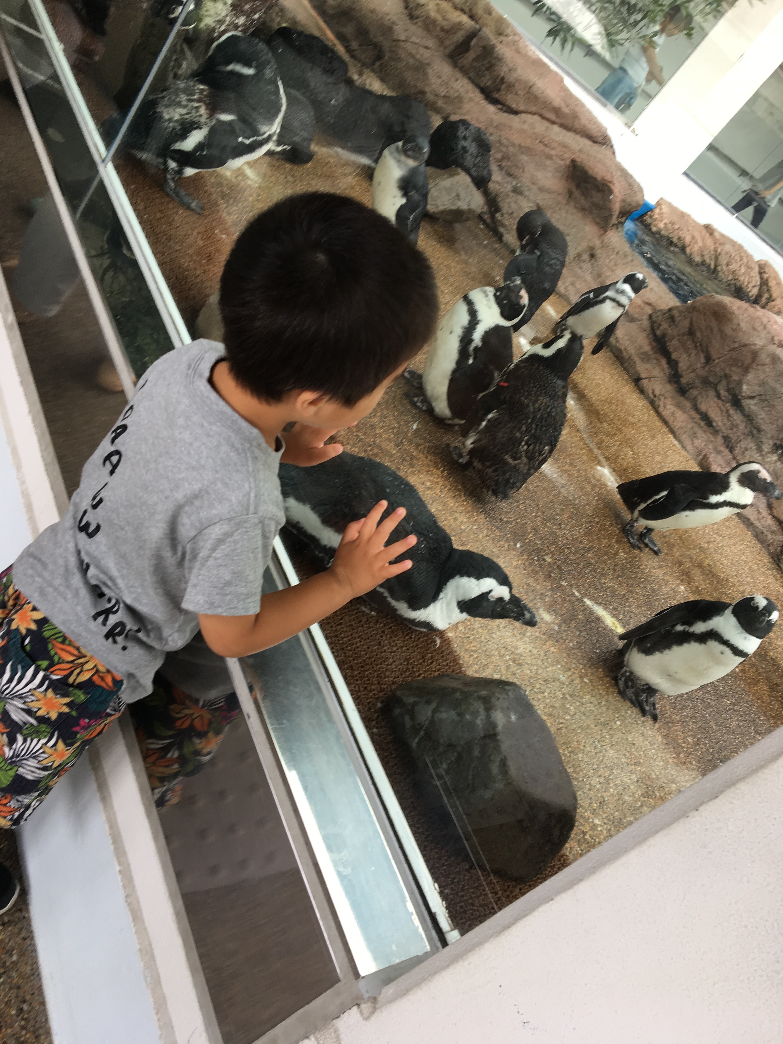 京都水族館_口コミ投稿写真20180416220601