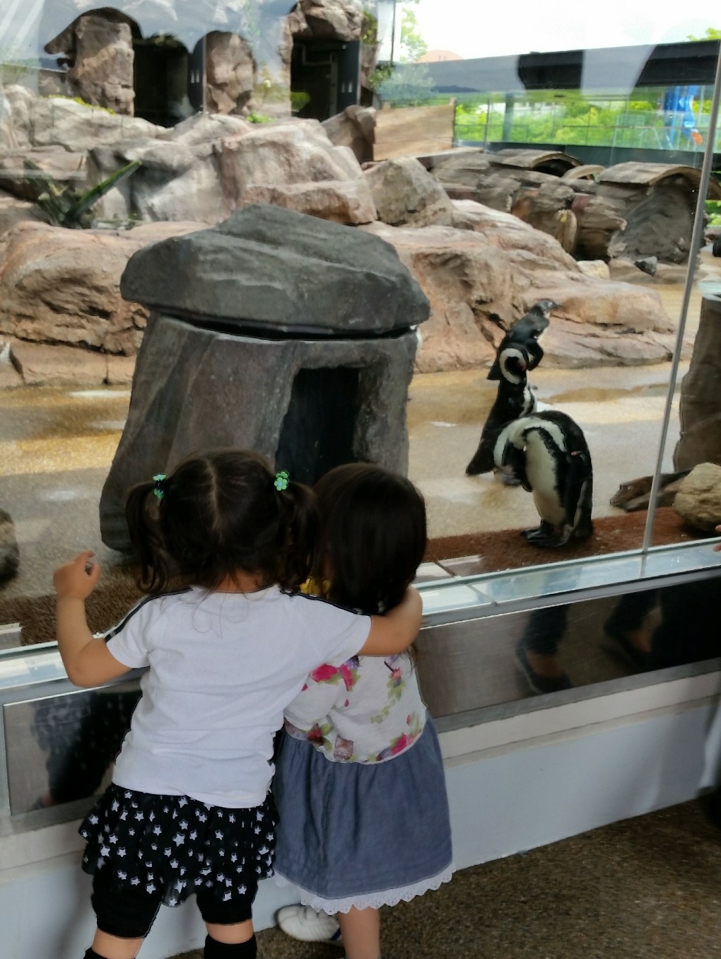 京都水族館_口コミ投稿写真20180419235600
