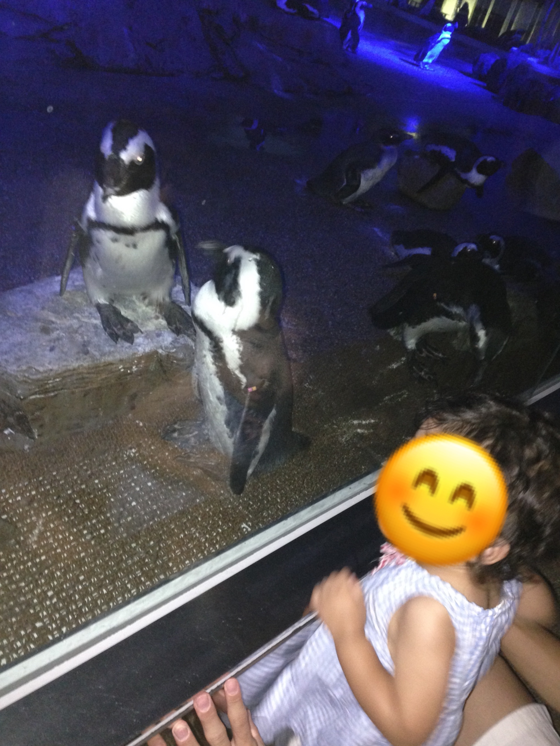 京都水族館_口コミ投稿写真20180420105930