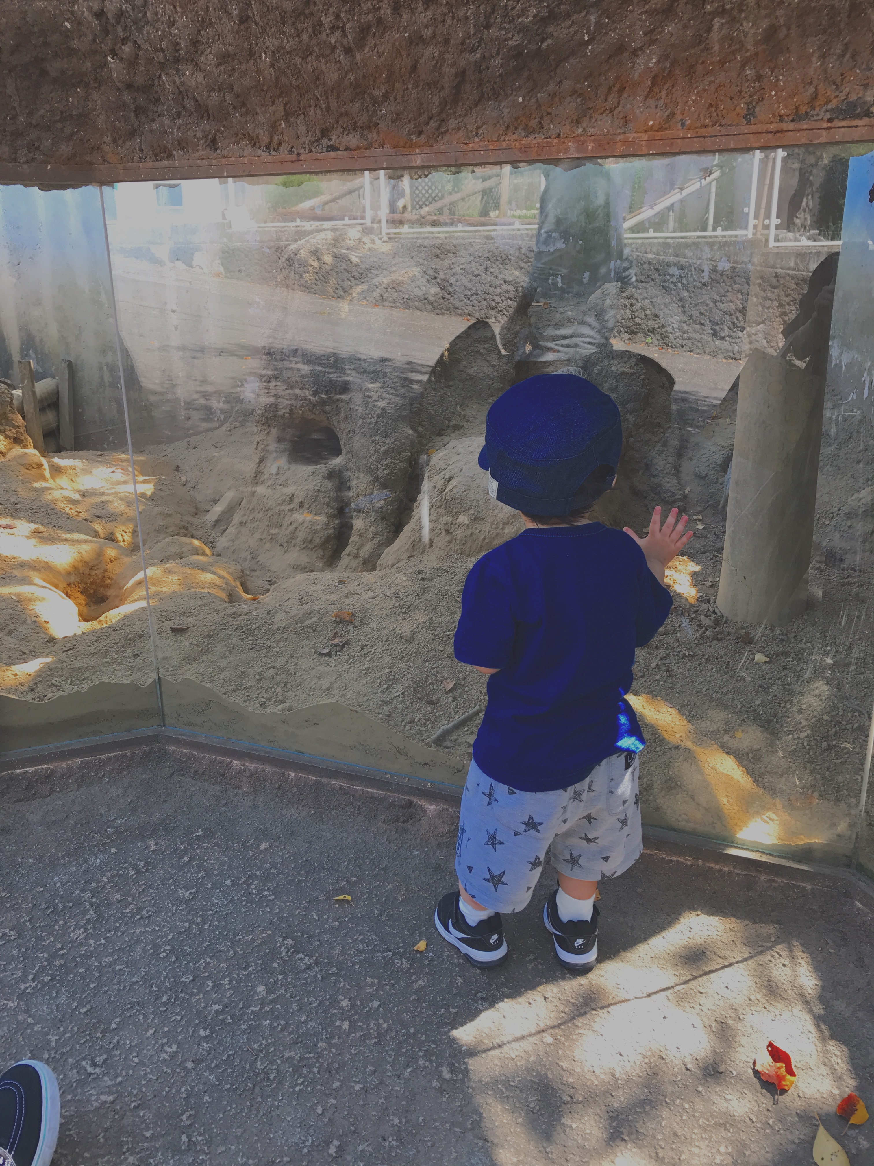 京都水族館_口コミ投稿写真20180421171902