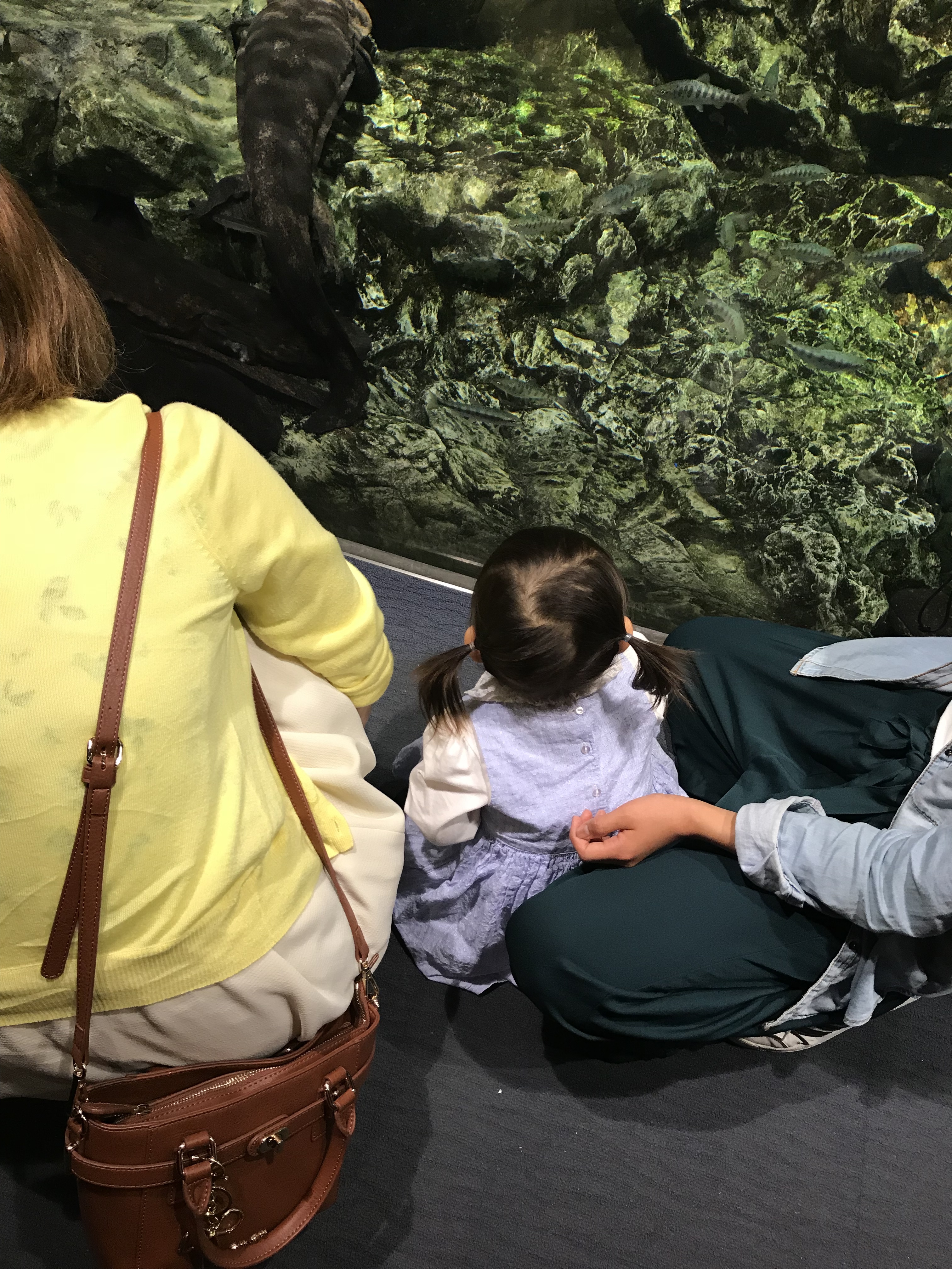 京都水族館_口コミ投稿写真20180507155342