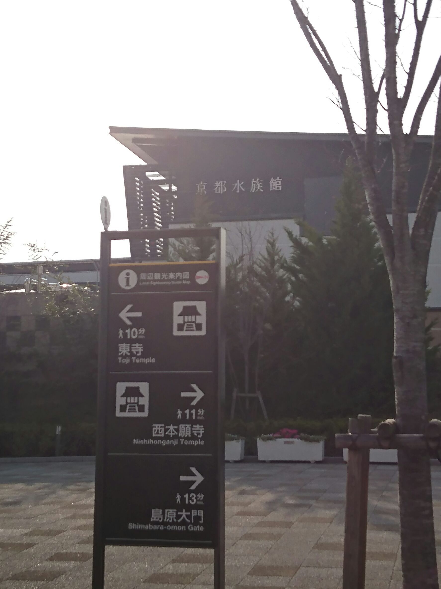 京都水族館_口コミ投稿写真20180514174411