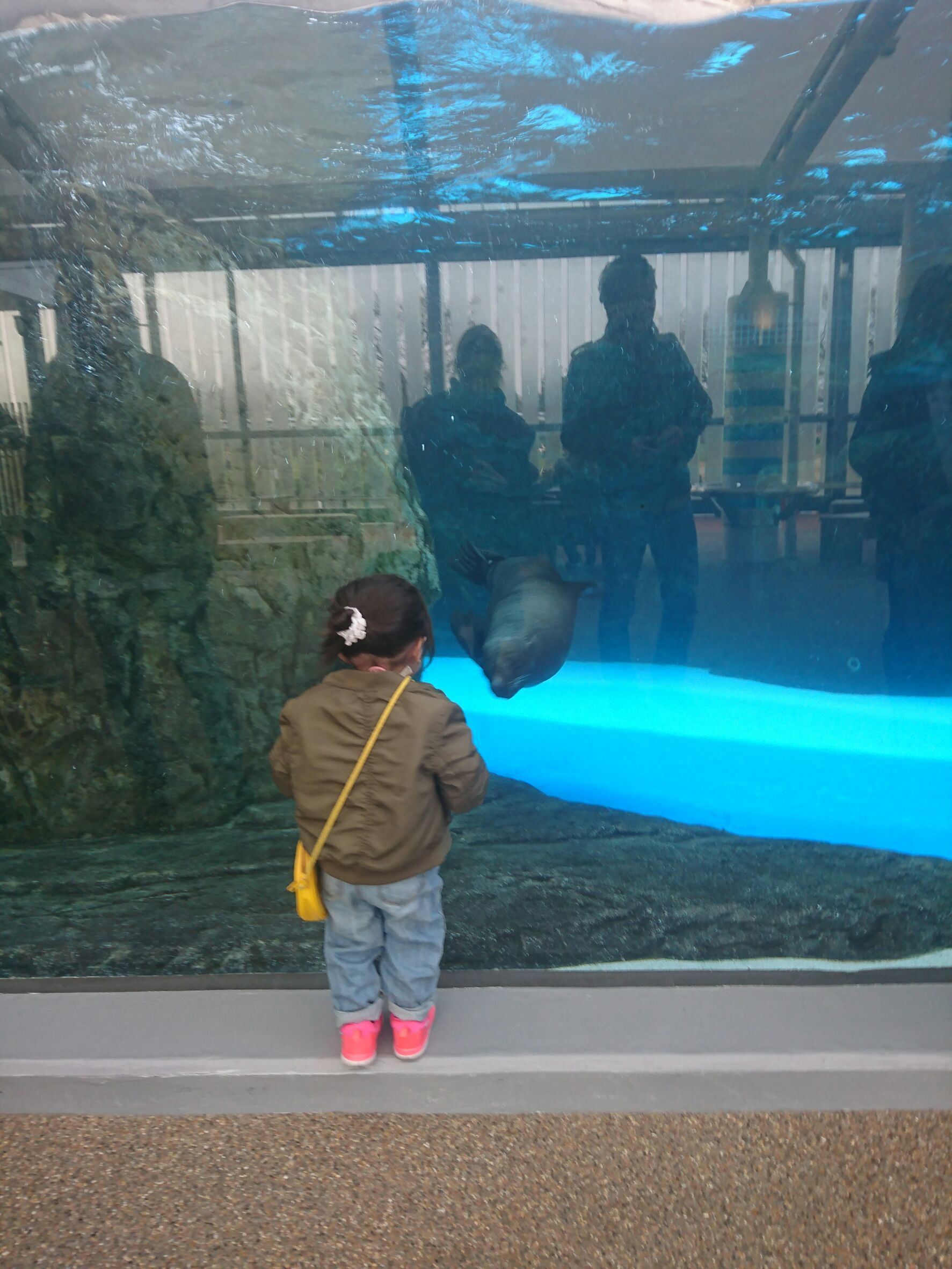 京都水族館_口コミ投稿写真20180514174425