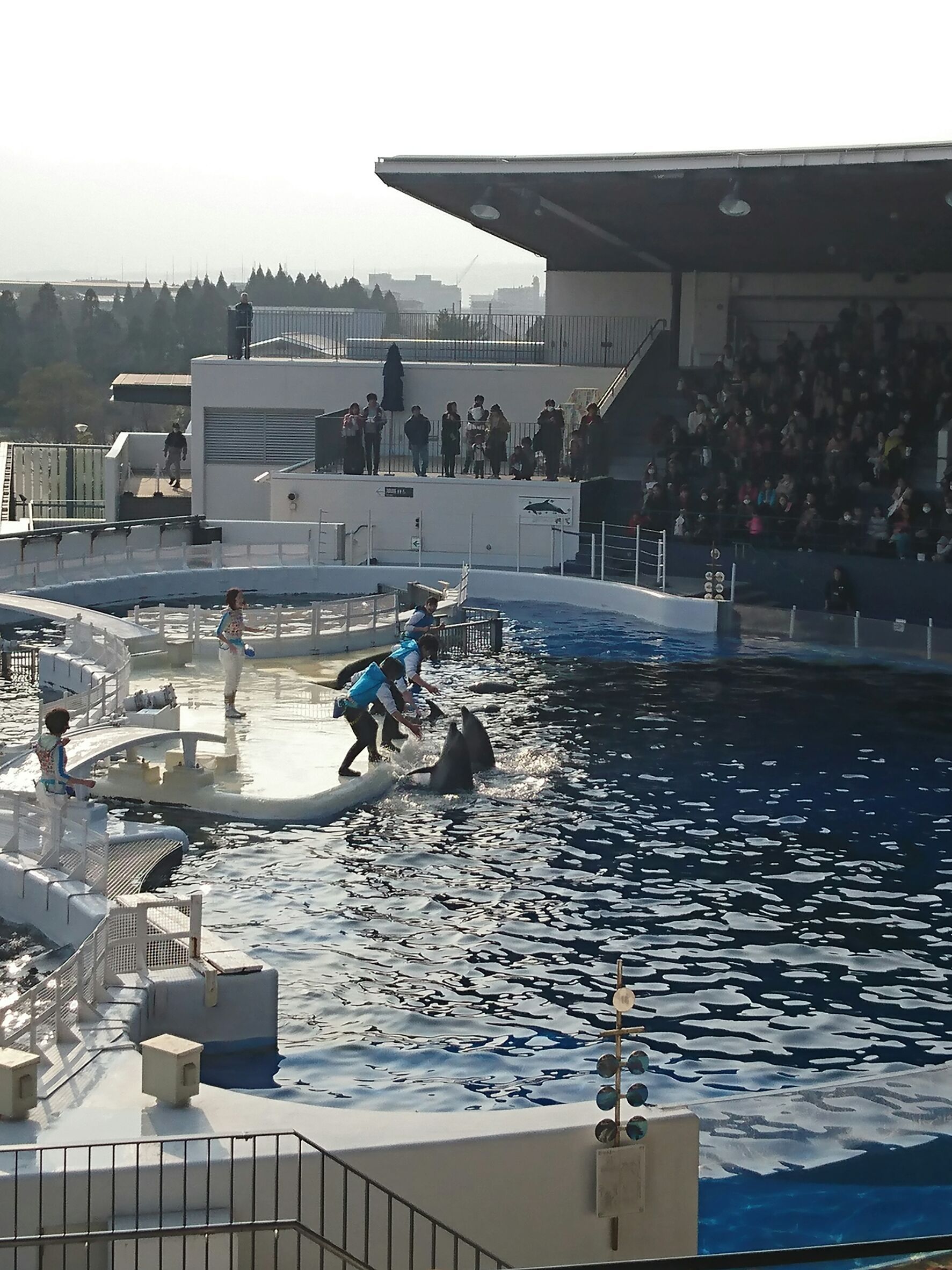 京都水族館_口コミ投稿写真20180514174448