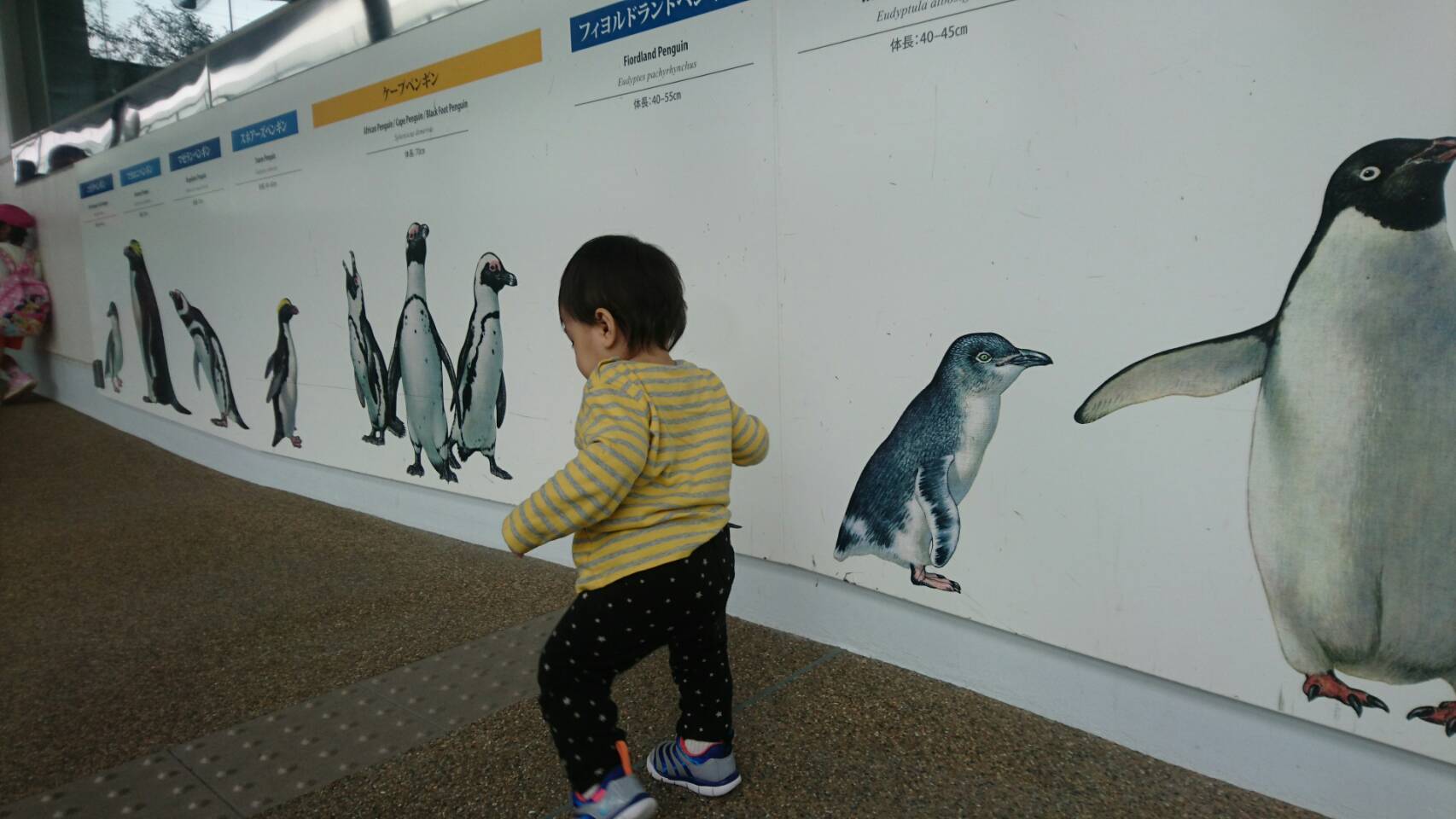 京都水族館_口コミ投稿写真20180521020307