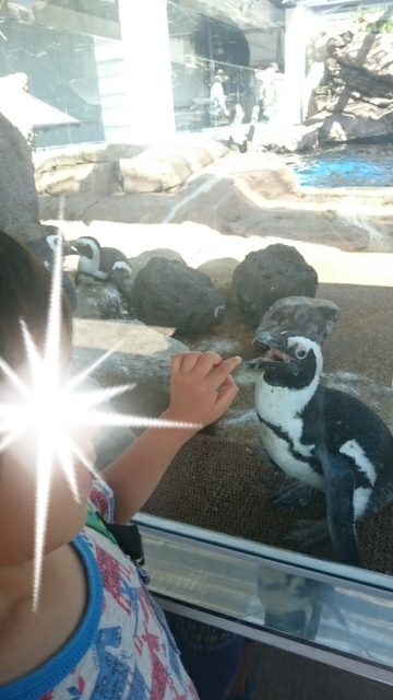 京都水族館_口コミ投稿写真20180527220153