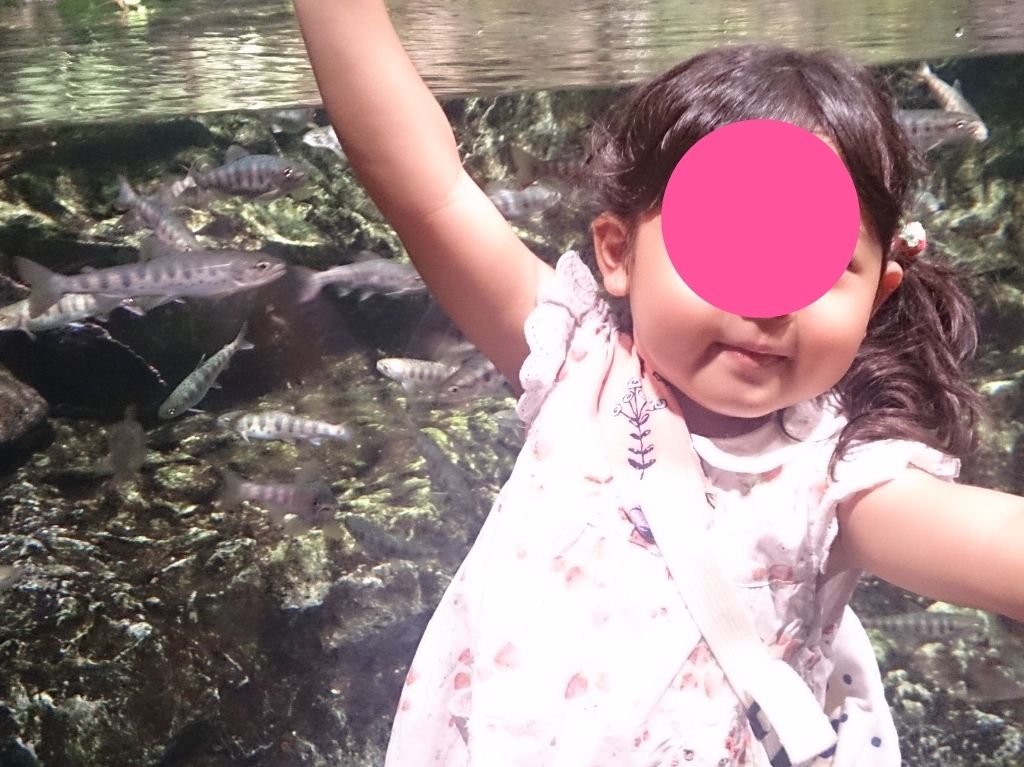 京都水族館_口コミ投稿写真20180530010315