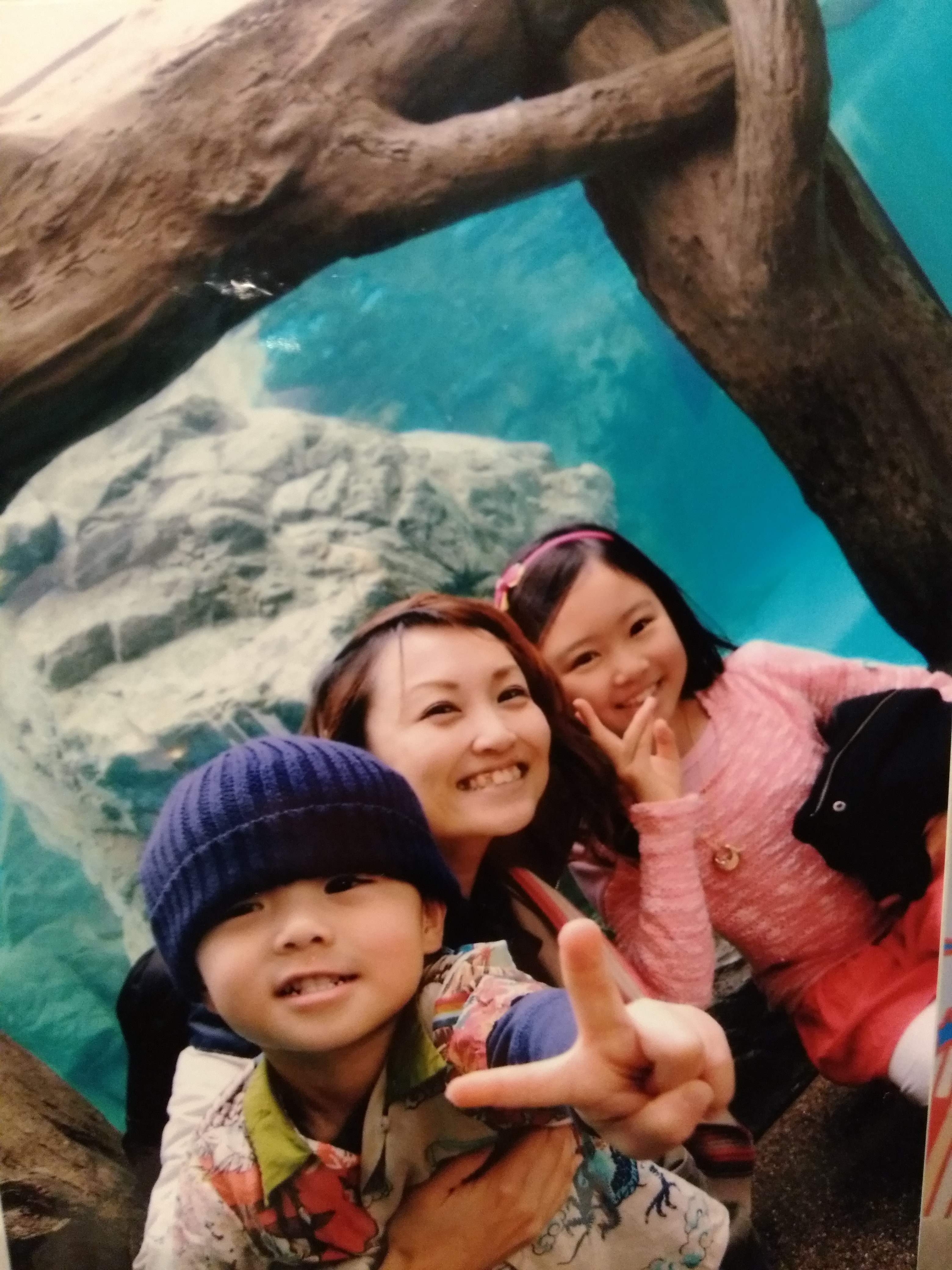 京都水族館_口コミ投稿写真20180616205024