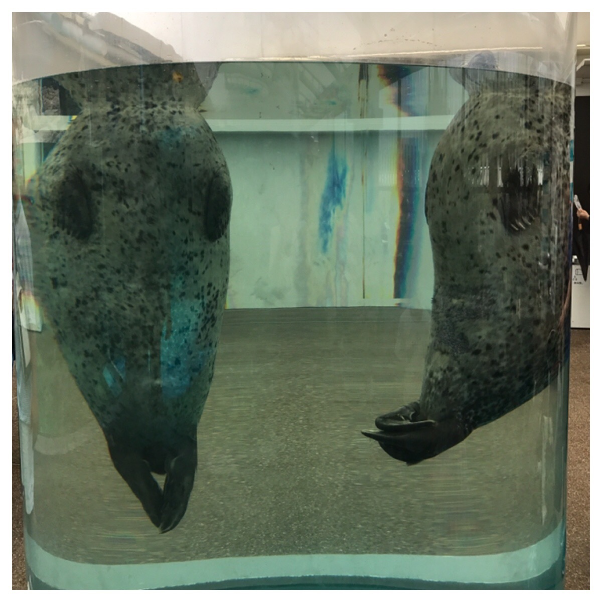 京都水族館_口コミ投稿写真20180617002239