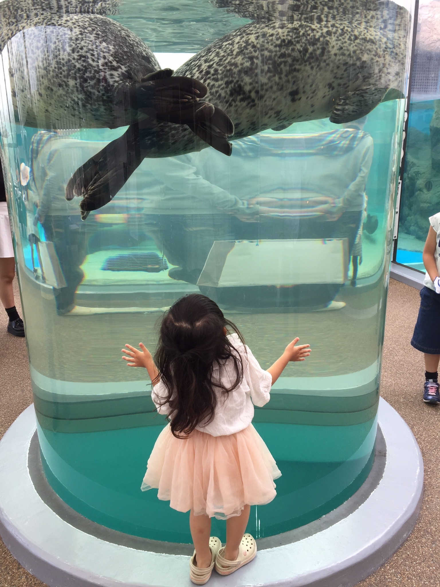 京都水族館_口コミ投稿写真20180626001202