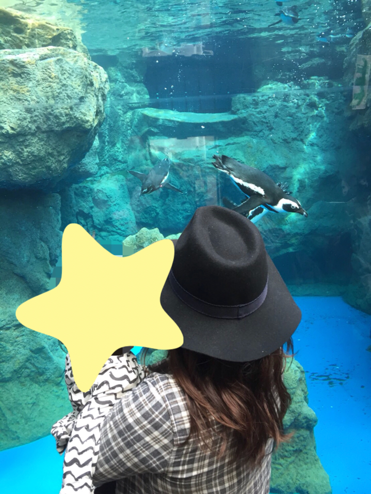 京都水族館_口コミ投稿写真20180629114956