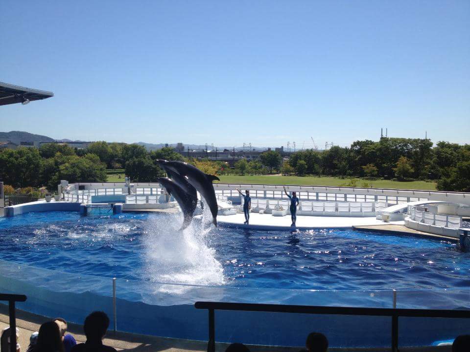 京都水族館_口コミ投稿写真20180827234553