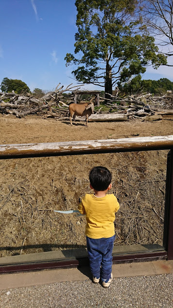 よこはま動物園ズーラシア_口コミ投稿写真20180531175458