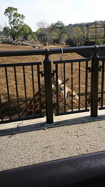 よこはま動物園ズーラシア_口コミ投稿写真20180531175510