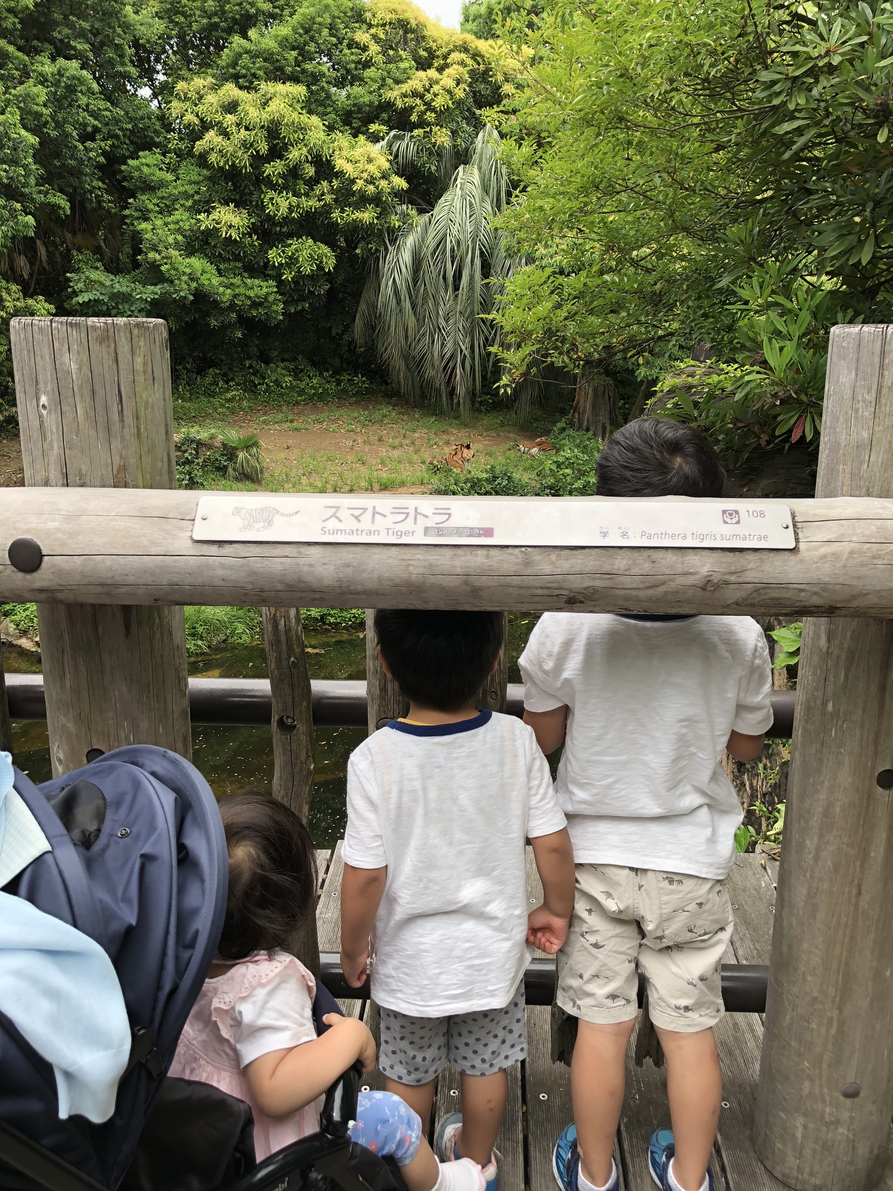 よこはま動物園ズーラシア_口コミ投稿写真20180602013445