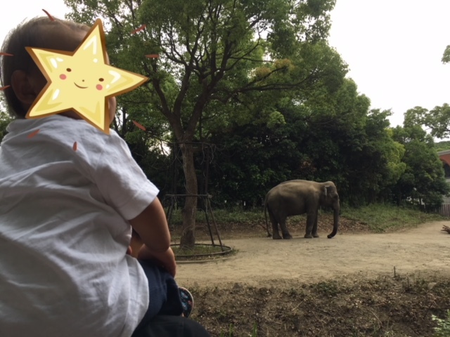 よこはま動物園ズーラシア_口コミ投稿写真20180602105733