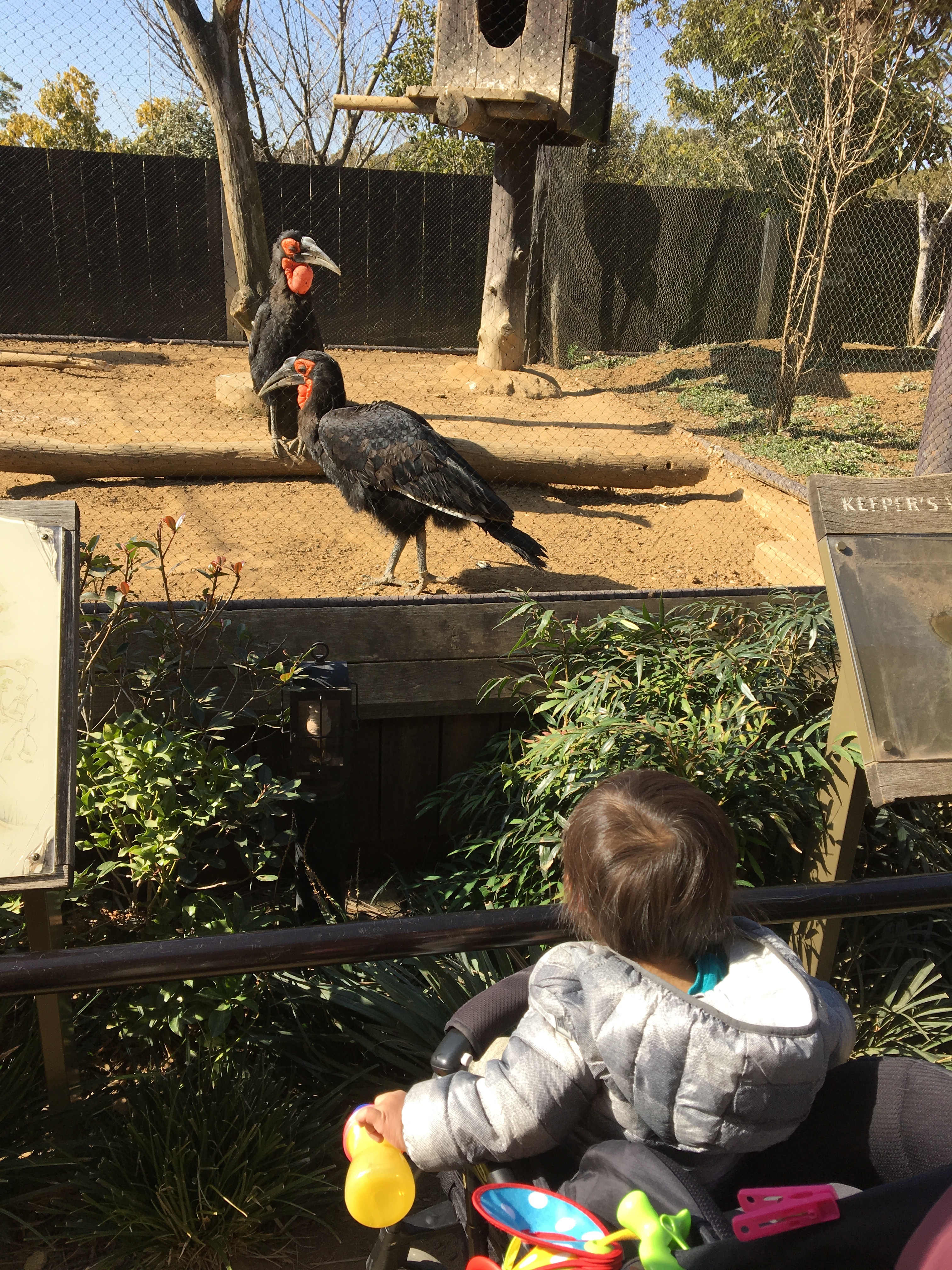 よこはま動物園ズーラシア_口コミ投稿写真20180618220715