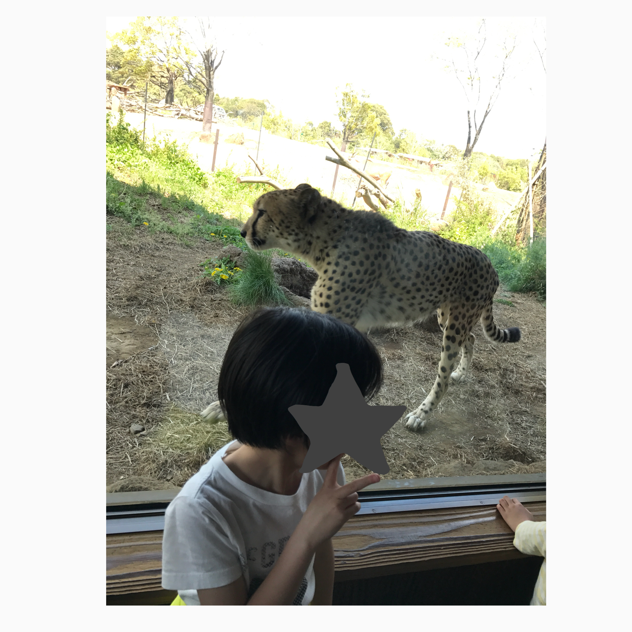 よこはま動物園ズーラシア_口コミ投稿写真20180620083153