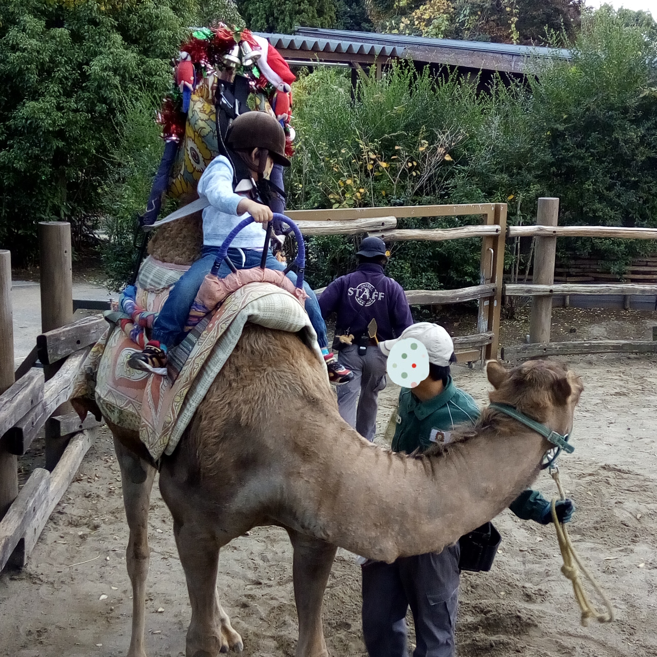 よこはま動物園ズーラシア_口コミ投稿写真20180622095749