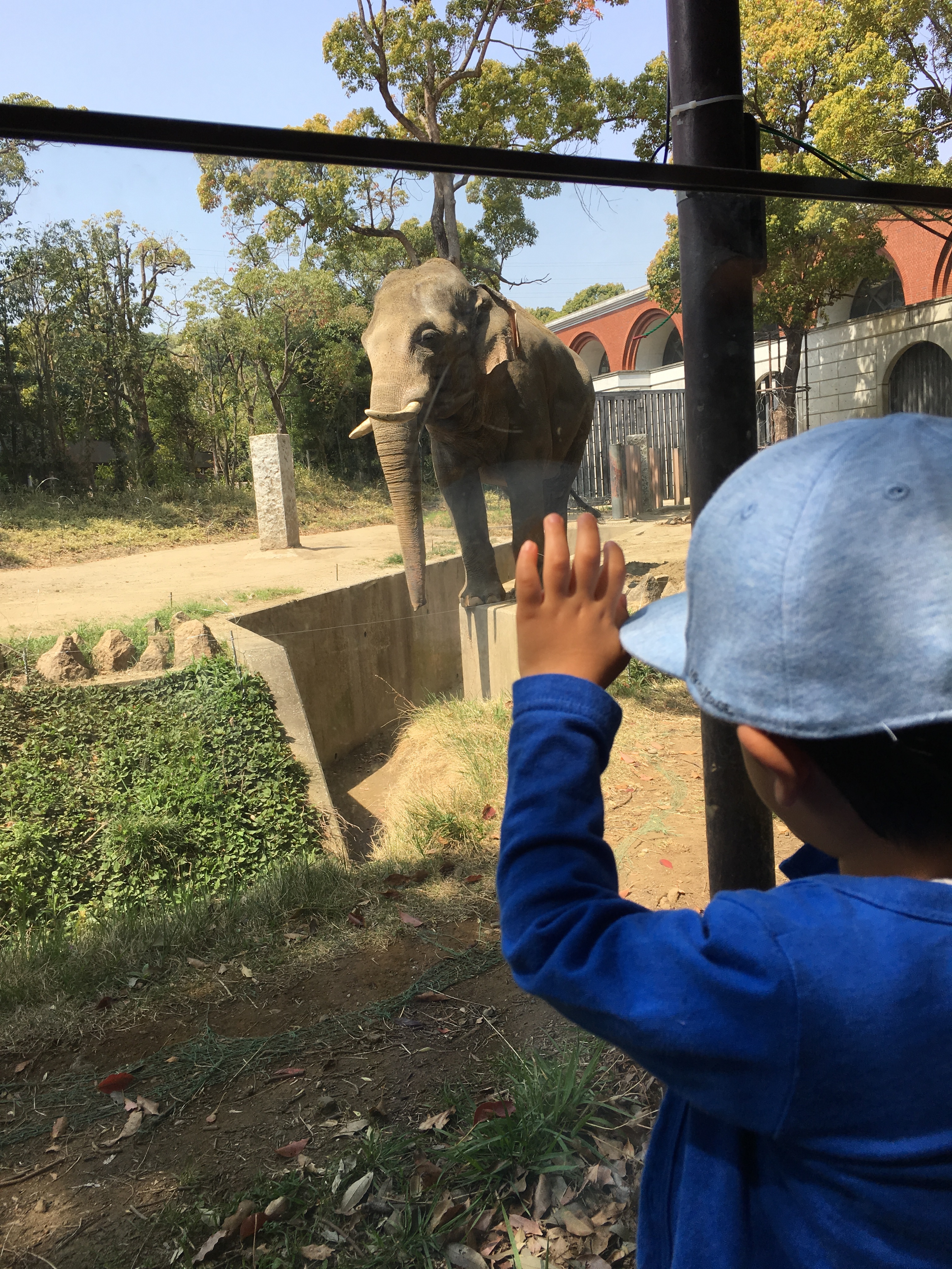 よこはま動物園ズーラシア_口コミ投稿写真20180626221832
