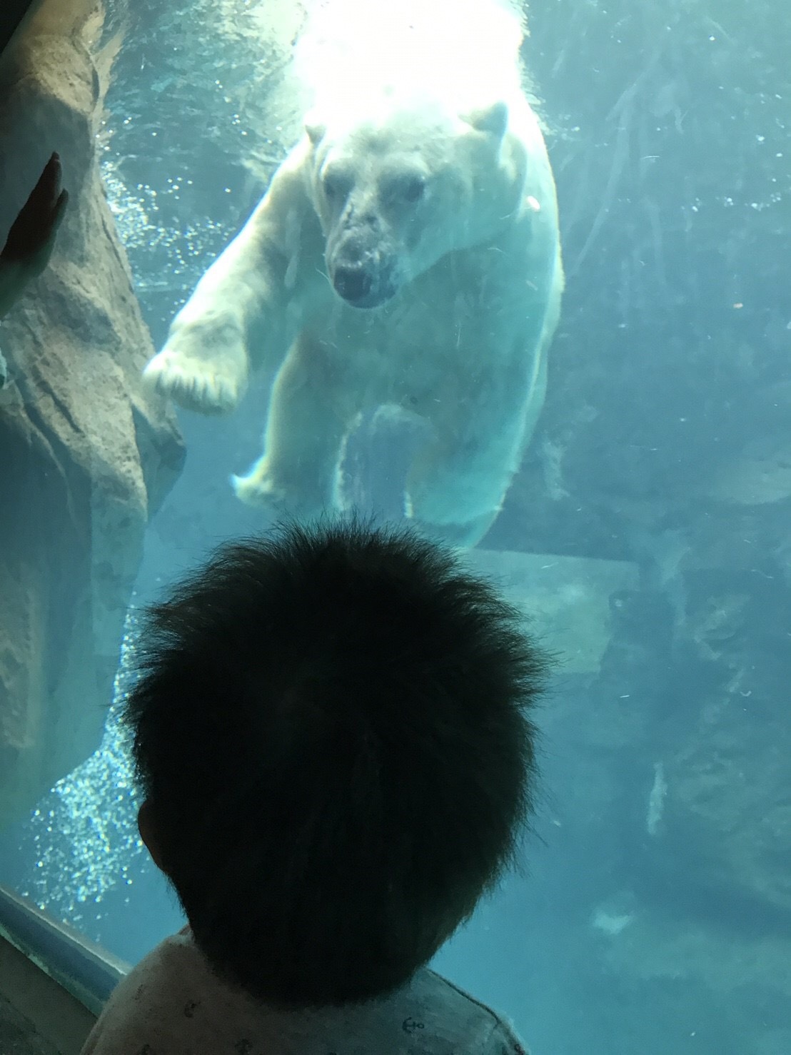 よこはま動物園ズーラシア_口コミ投稿写真20180628075055