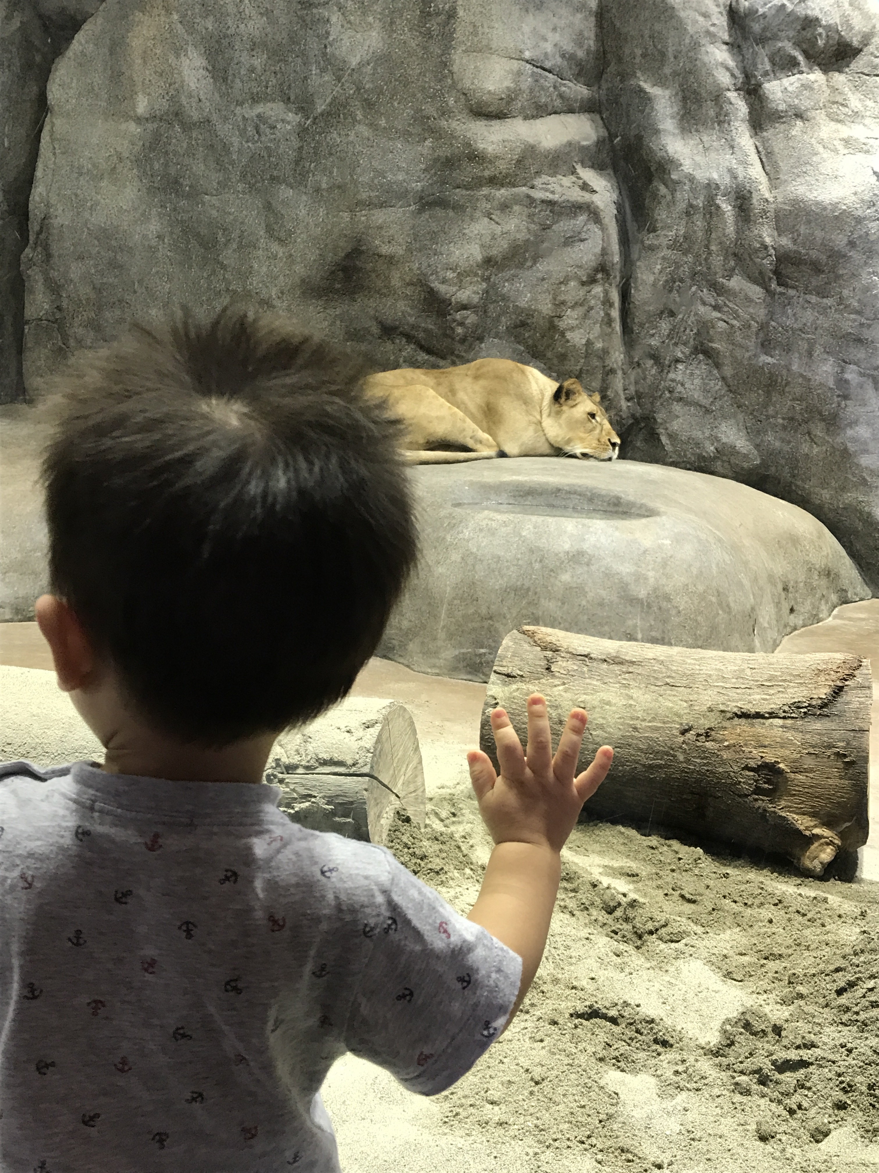 よこはま動物園ズーラシア_口コミ投稿写真20180628075144