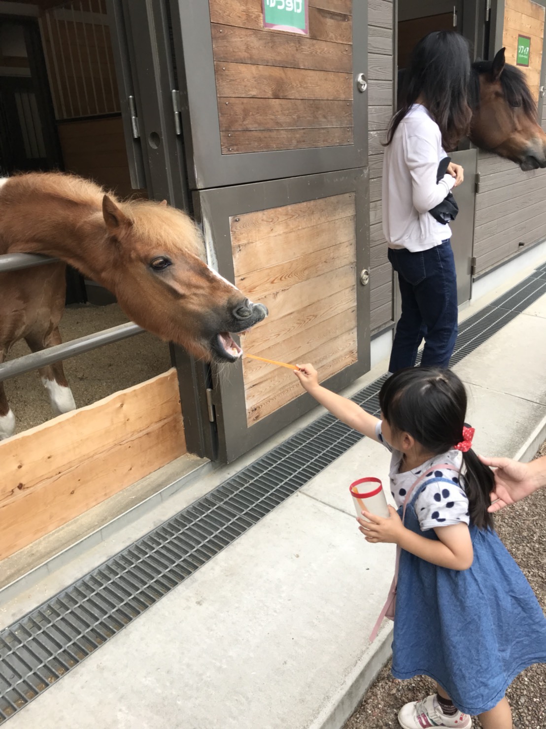 よこはま動物園ズーラシア_口コミ投稿写真20180629223105