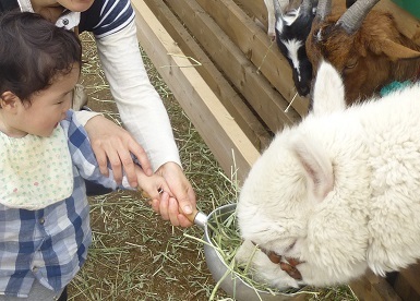 千葉市動物公園_口コミ投稿写真20170729142100995