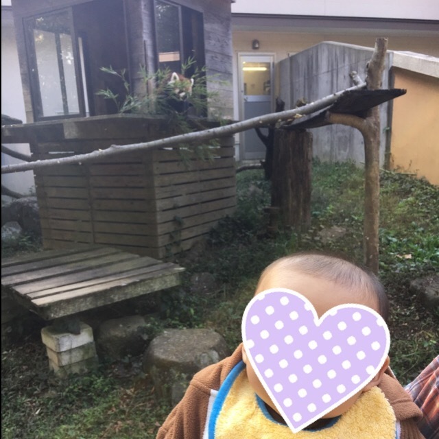 千葉市動物公園_口コミ投稿写真20170731180056808