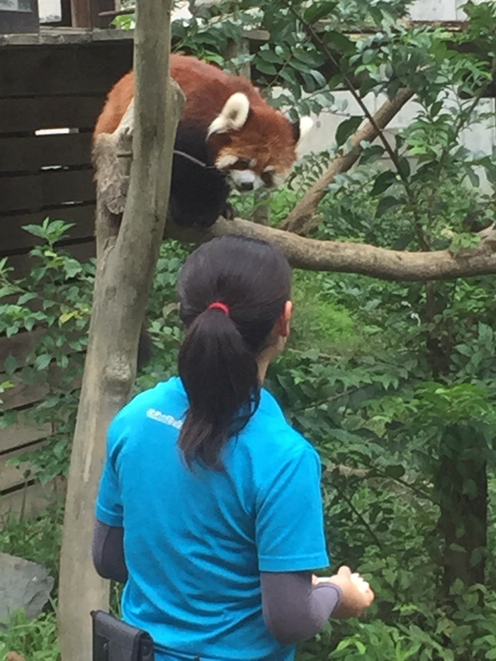 千葉市動物公園_口コミ投稿写真20170830014645833