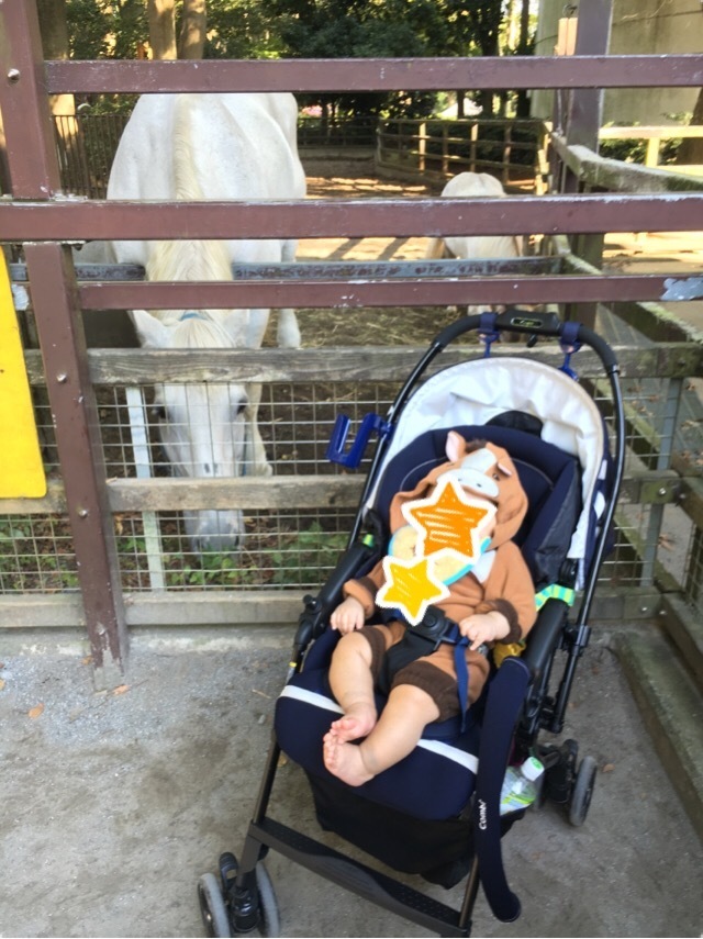 千葉市動物公園_口コミ投稿写真20170928122722045