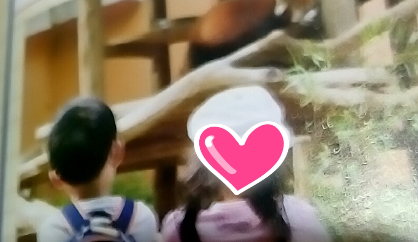 千葉市動物公園_口コミ投稿写真20180418164915