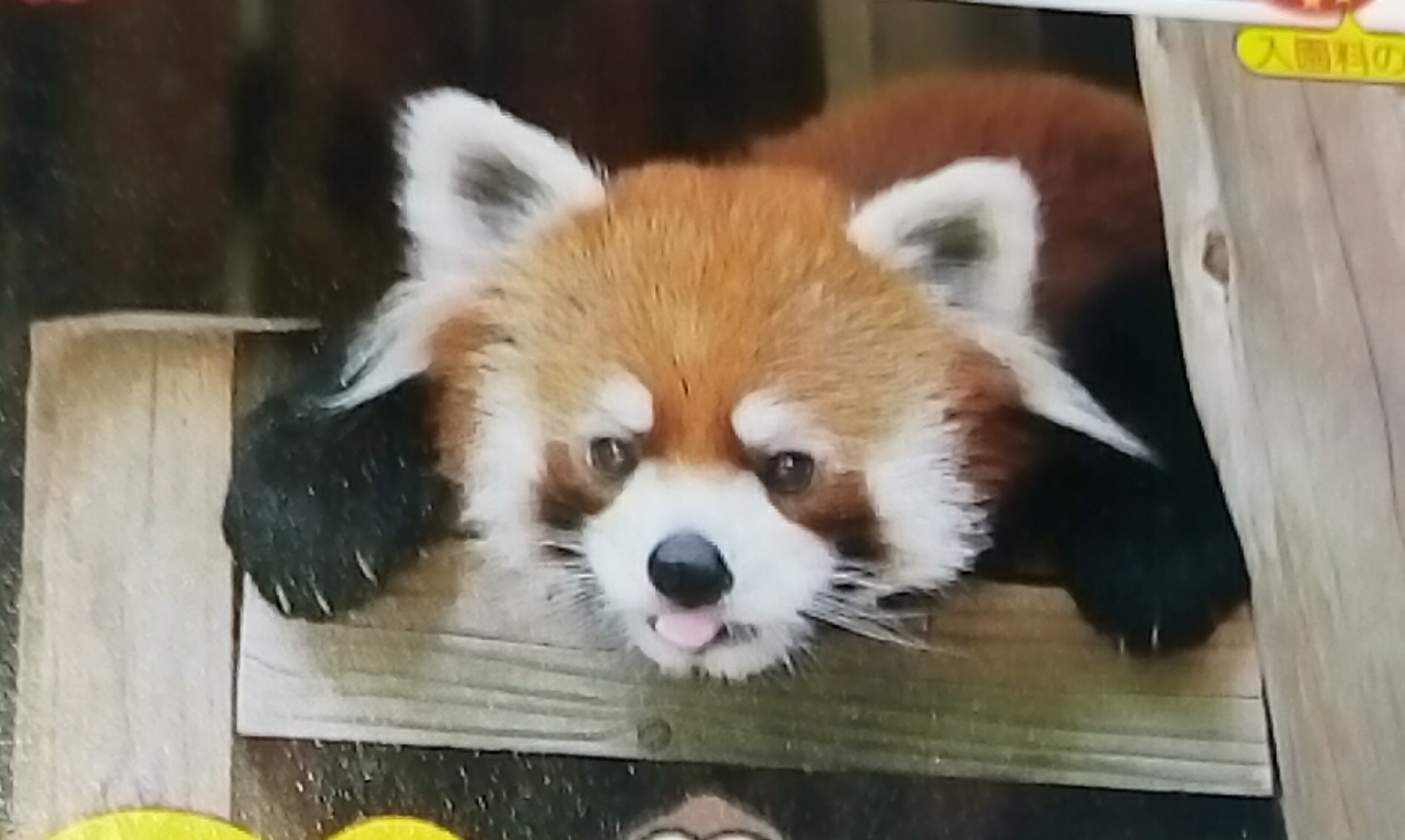 千葉市動物公園_口コミ投稿写真20180418164926