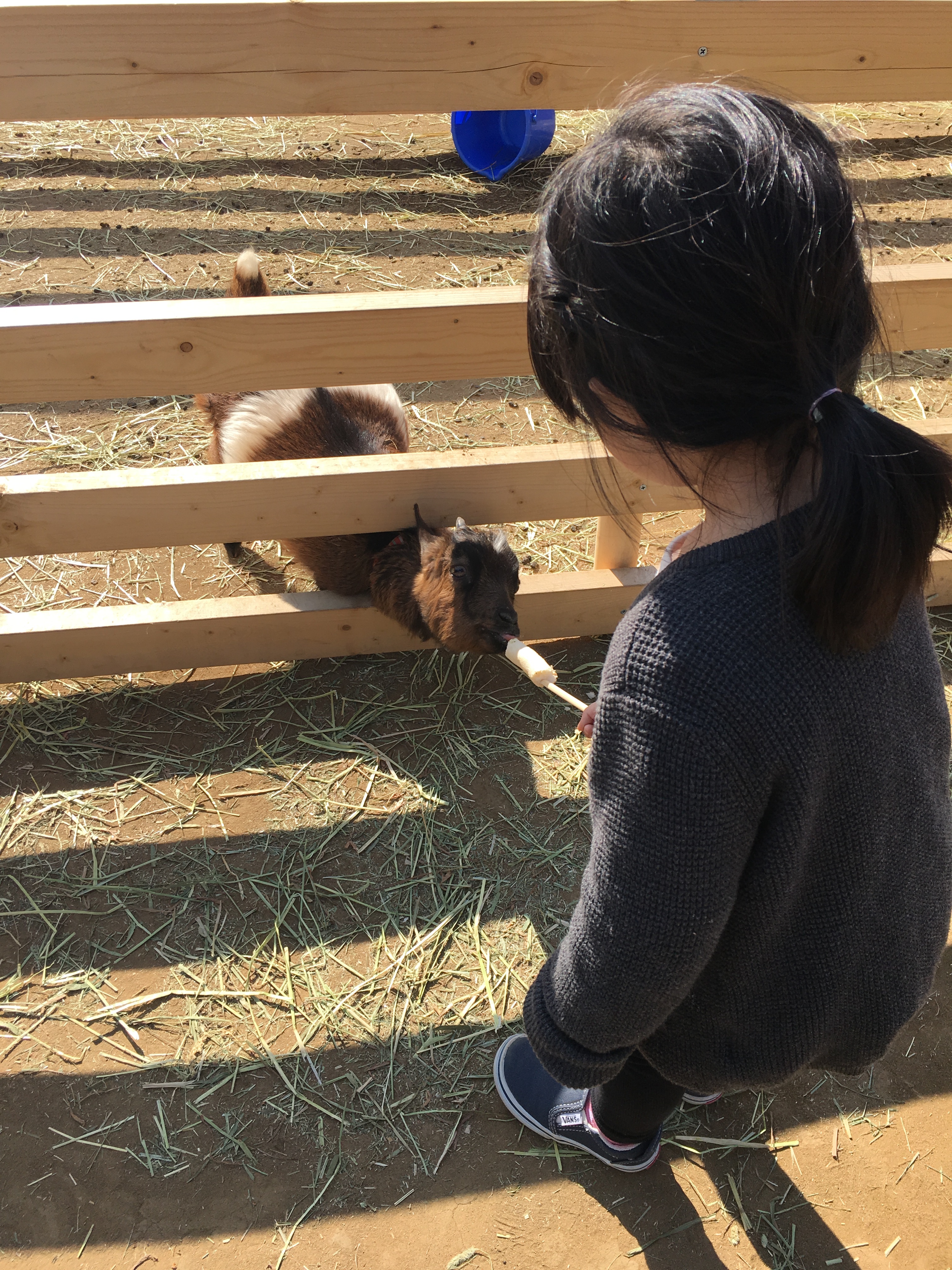 千葉市動物公園_口コミ投稿写真20180421083620