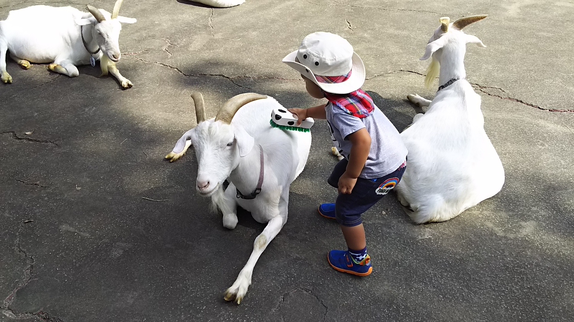 千葉市動物公園_口コミ投稿写真20180423232408