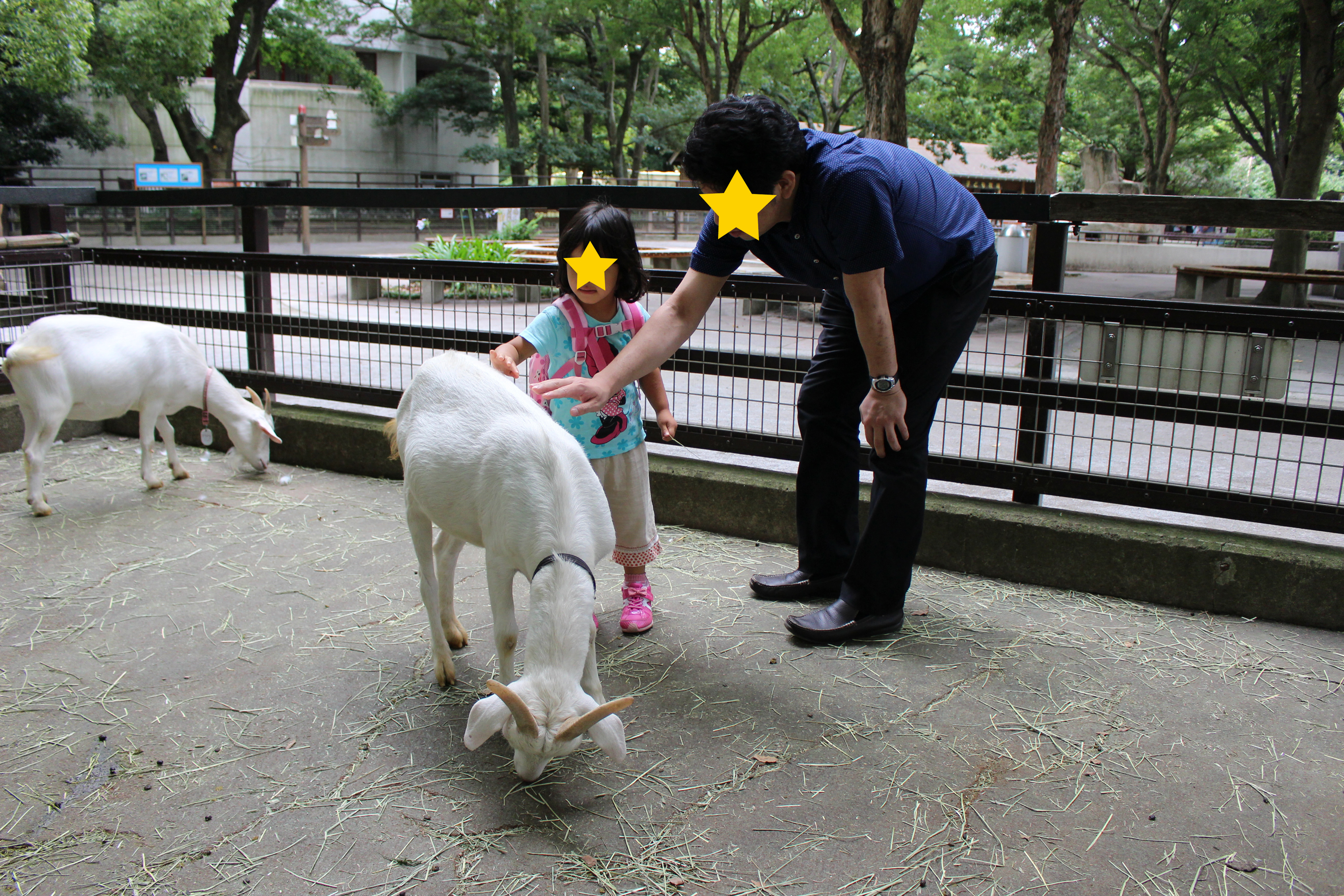 千葉市動物公園_口コミ投稿写真20180515143456