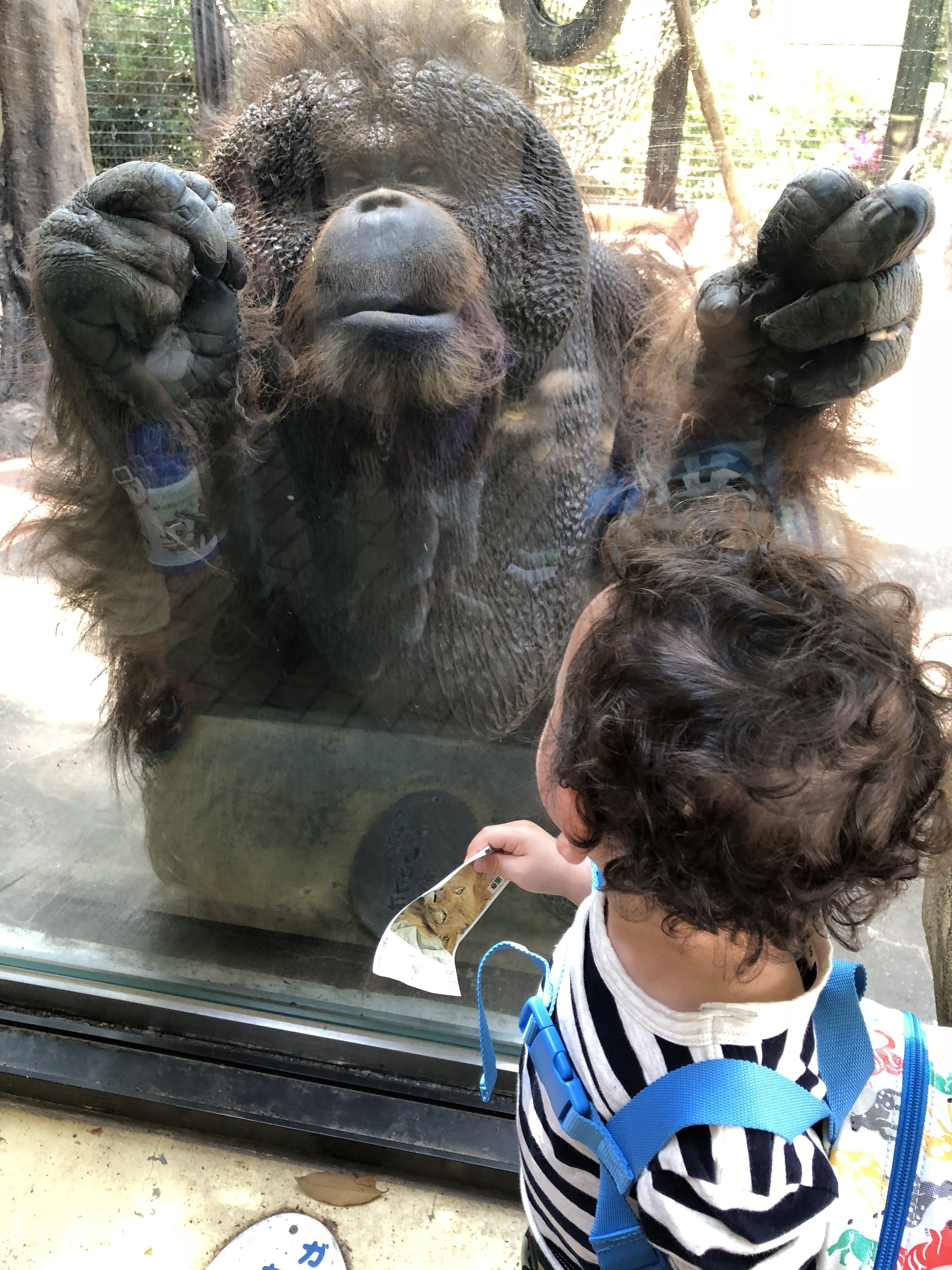 千葉市動物公園_口コミ投稿写真20180620164109