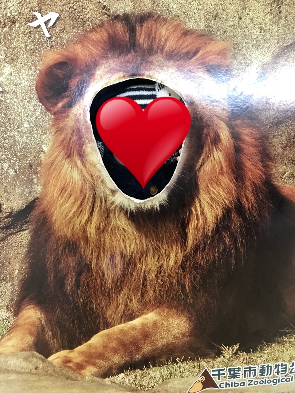 千葉市動物公園_口コミ投稿写真20180621225720
