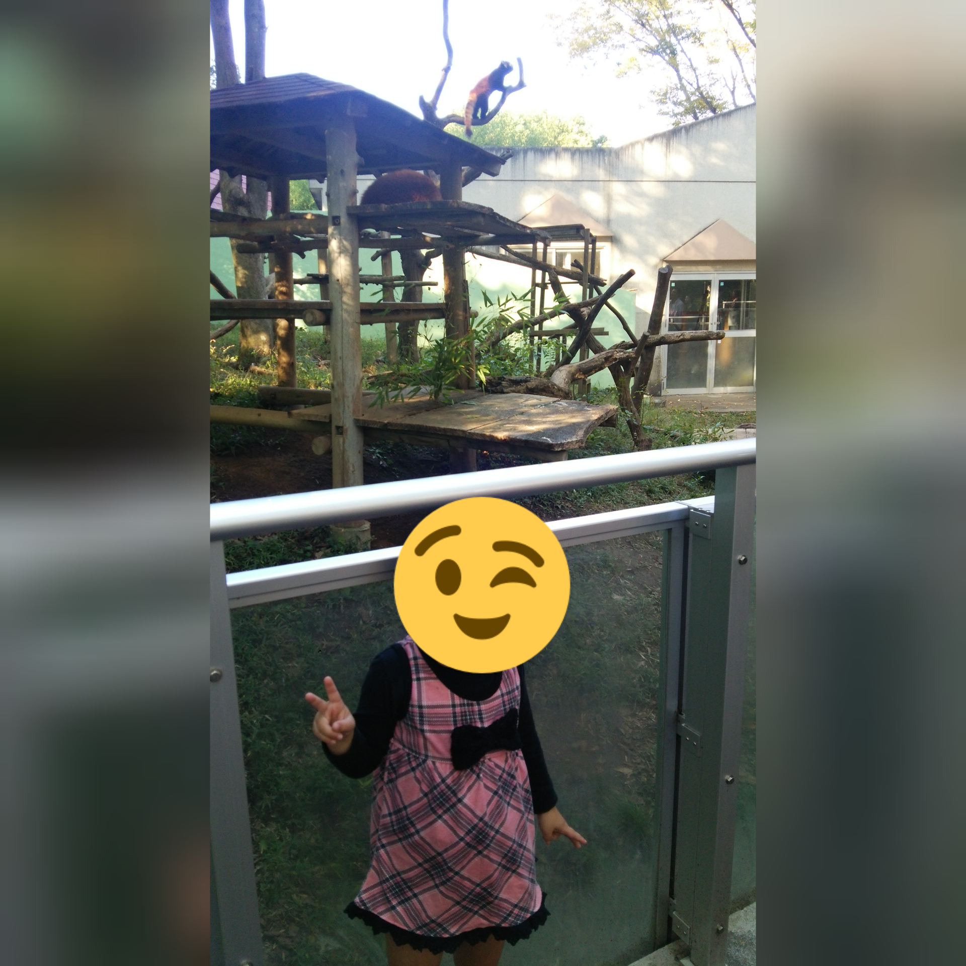 千葉市動物公園_口コミ投稿写真20180624015139