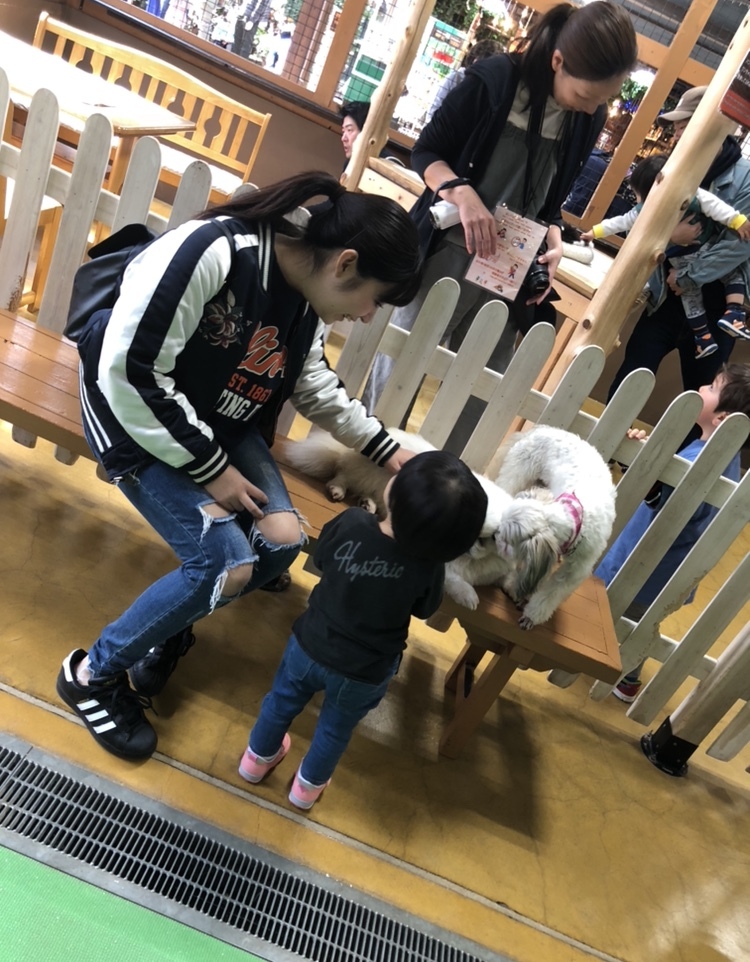 神戸どうぶつ王国_口コミ投稿写真20180530150917