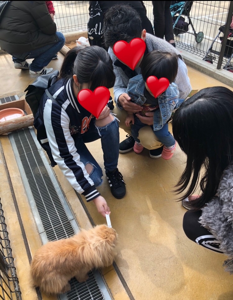 神戸どうぶつ王国_口コミ投稿写真20180530150945