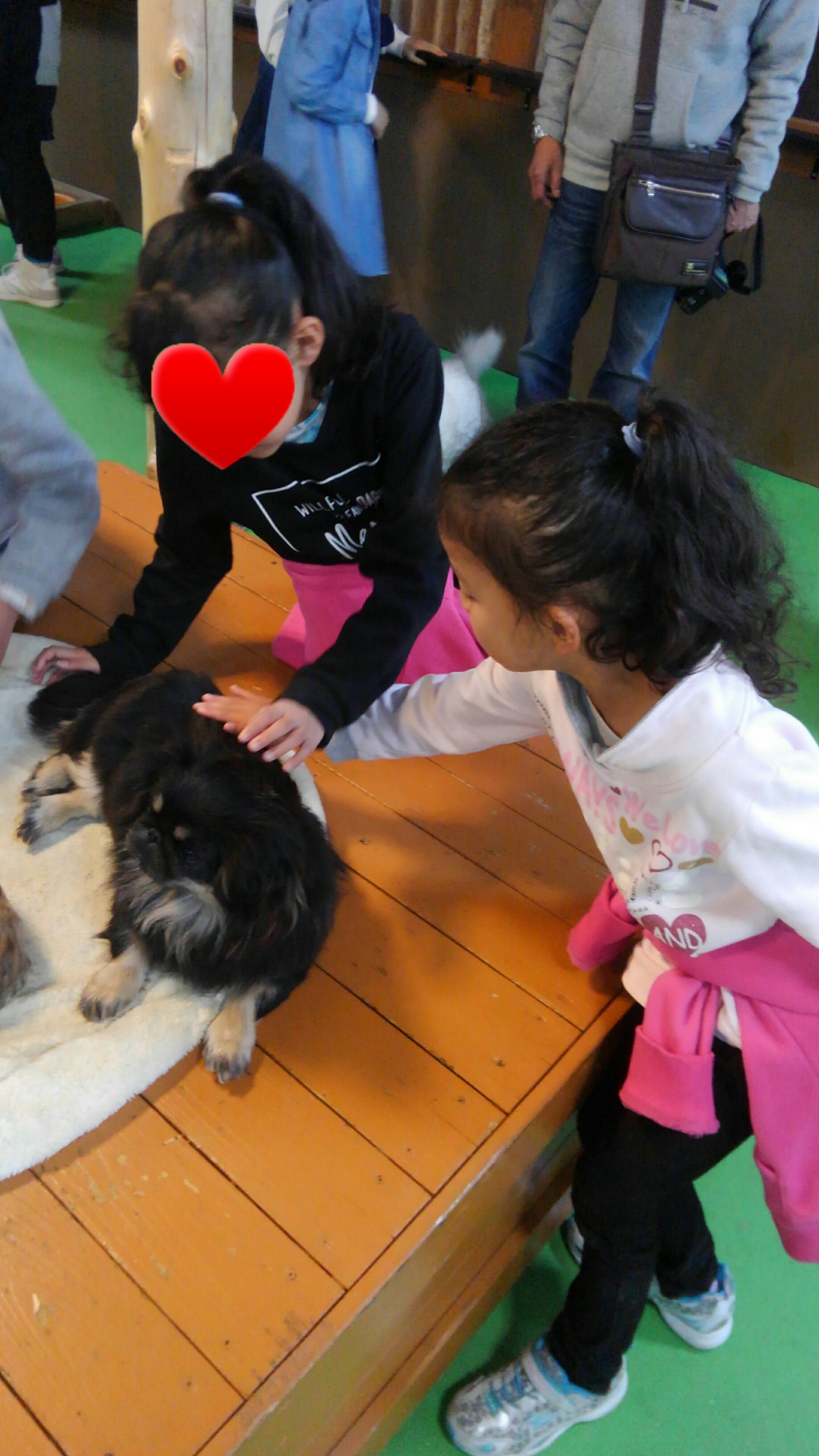 神戸どうぶつ王国_口コミ投稿写真20180530170941